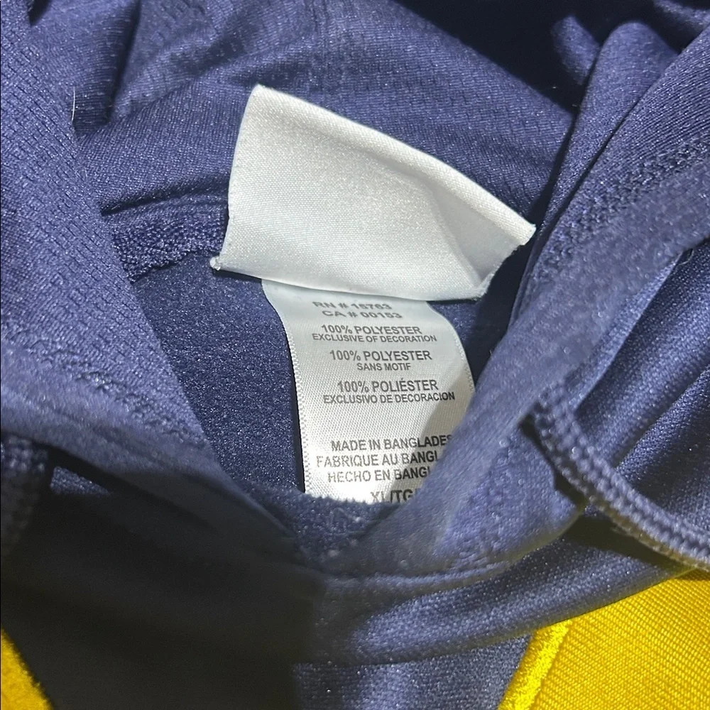 Champion University of Michigan Navy and Maize Embroidered Hoodie (Men XL)